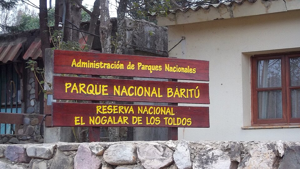 Selva de Montaña